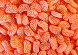 Orange Candy Khatti Meethi | Narangee Toffee Candy | Santra Goli -Candy- Toffee | Vegetarian